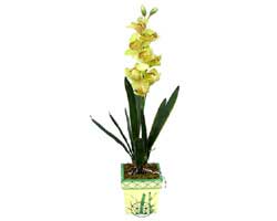 zel Yapay Orkide Sari  Diyarbakr cicek , cicekci 