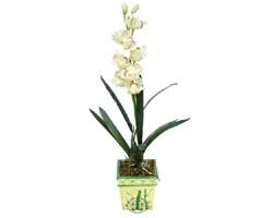 zel Yapay Orkide Beyaz   Diyarbakr online iek gnderme sipari 