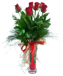 vazo içerisinde 5 kırmızı gül  Diyarbakır internetten çiçek siparişi 