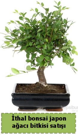 thal bonsai saks iei Japon aac sat  Diyarbakr cicekciler , cicek siparisi 