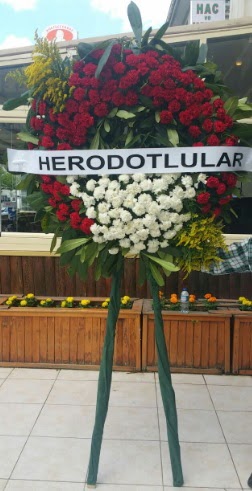 Cenaze elengi cenazeye iek modeli  Diyarbakr iek online iek siparii 