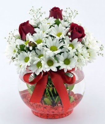 Fanusta 3 Gül ve Papatya  Diyarbakır online çiçekçi , çiçek siparişi 