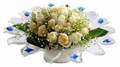 cam günes ve dolunay bembeyaz  Diyarbakır çiçek servisi , çiçekçi adresleri 