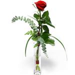  Diyarbakır hediye sevgilime hediye çiçek  1 adet kirmizi gül cam yada mika vazo içerisinde