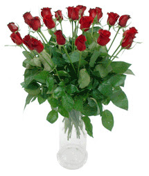  Diyarbakır hediye sevgilime hediye çiçek  11 adet kimizi gülün ihtisami cam yada mika vazo modeli