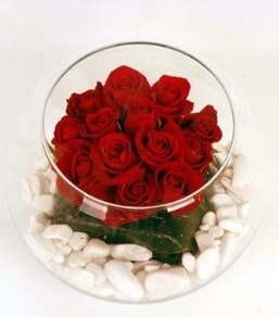 Cam fanusta 11 adet kırmızı gül  Diyarbakır anneler günü çiçek yolla 