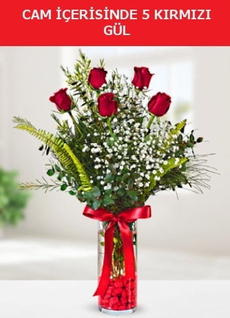 Cam içerisinde 5 adet kırmızı gül  Diyarbakır yurtiçi ve yurtdışı çiçek siparişi 