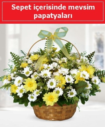 Sepet içerisinde mevsim papatyaları  Diyarbakır çiçek mağazası , çiçekçi adresleri 