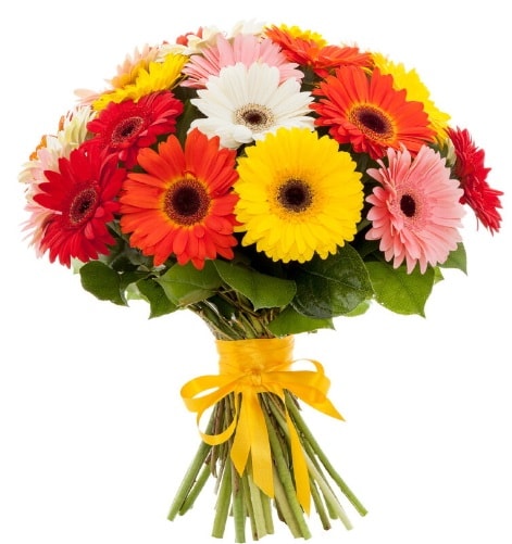 Gerbera demeti buketi  Diyarbakır çiçek online çiçek siparişi 